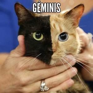 Meet your Posher, Lopez g